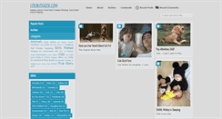 Desktop Screenshot of lolblogger.com